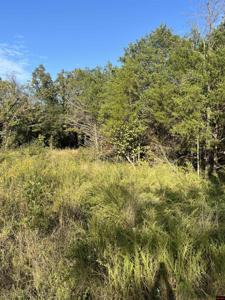 2 SILVER FOX RIDGE ROAD