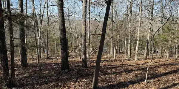 002-03609-000 CR 989