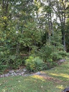 Pt  25 & 26 WHITE RIVER COURT