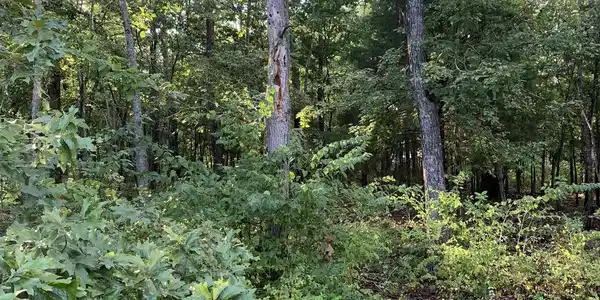 Pt  25 & 26 WHITE RIVER COURT