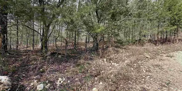 580-00005-016 DOVEWOOD LANE