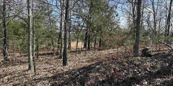 Lot 2 DEER MEADOWS LANE
