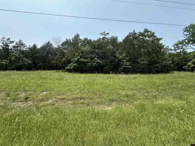 775-00832-000 SOMONAUK DRIVE