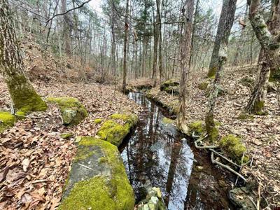 001-05451-000 TOMAHAWK SLAB ROAD