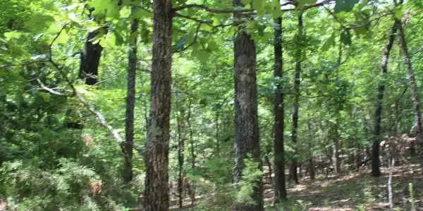 Lot 64 OAKRIDGE DRIVE