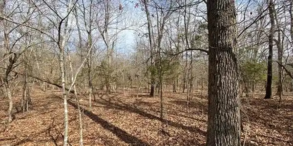 Lot 4 LAKEPOINTE DRIVE