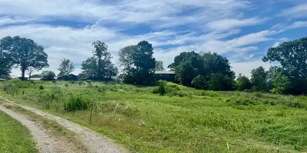 252 00001 000 TOPWATER TRAIL