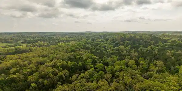 Tract 3 LITTLE WOODS ROAD