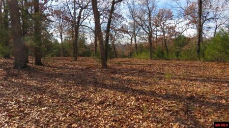 Lot 5 BURGGRAF TRAIL