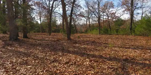 Lot 5 BURGGRAF TRAIL