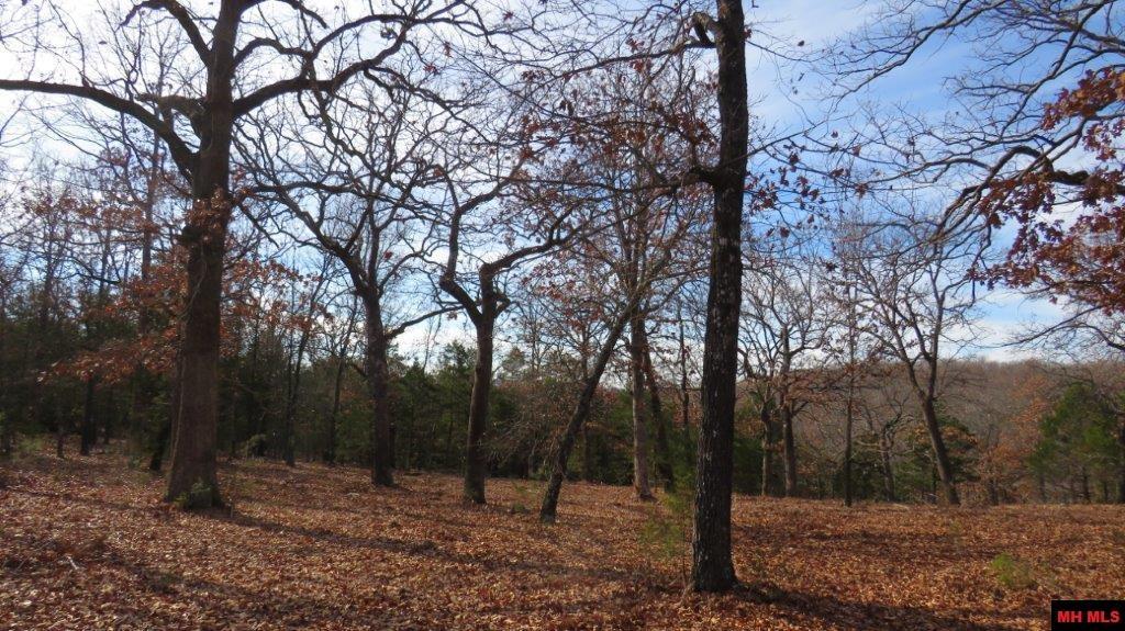 Image 3: Image 3