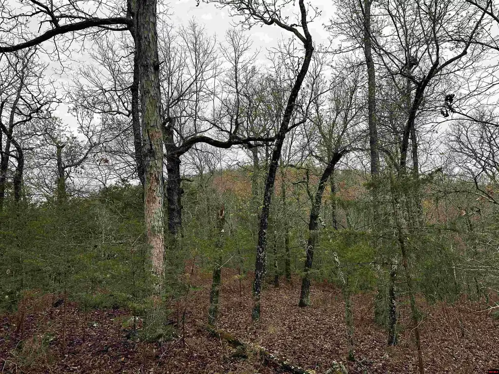 Image 0