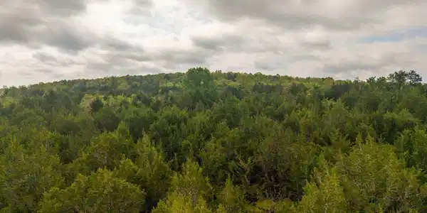 Tract 6 LITTLE WOODS ROAD