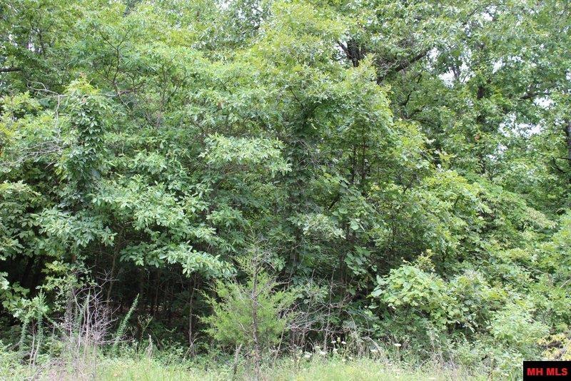Image 3: beautiful wooded corner lot