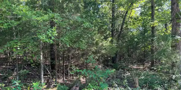 Lot 45 HOURGLASS DRIVE