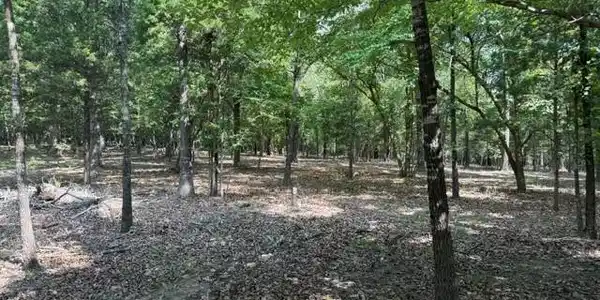 18 CATAWBA