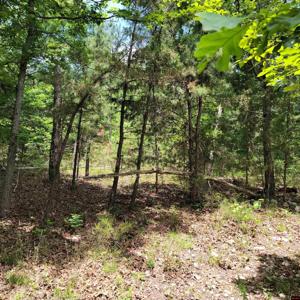Lot 2 REYNOLDS ISLAND COVE