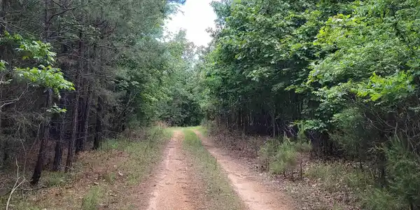 Lot 2 REYNOLDS ISLAND COVE