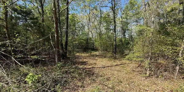 22 BIG TREE COURT