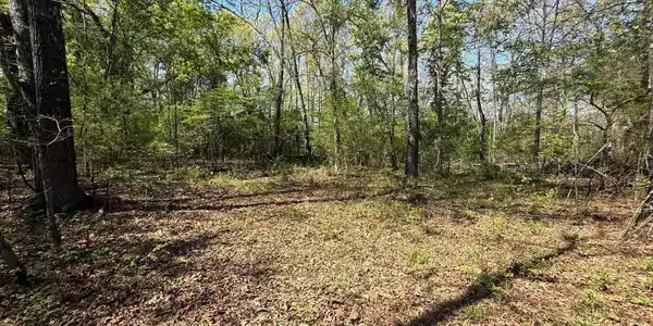 22 BIG TREE COURT