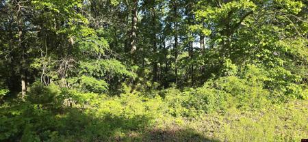 Lot 25 LAKEPOINTE DRIVE