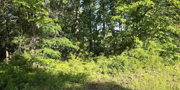 Lot 25 LAKEPOINTE DRIVE