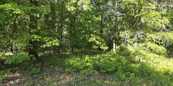 Lot 25 LAKEPOINTE DRIVE