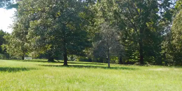 Lot 12 RIDGEWOOD DRIVE