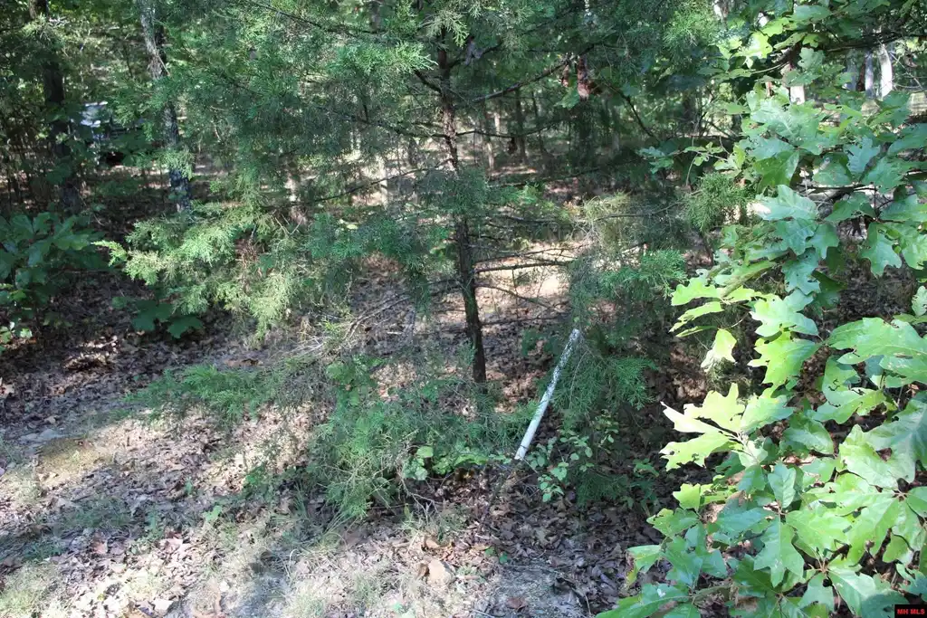Image 0
