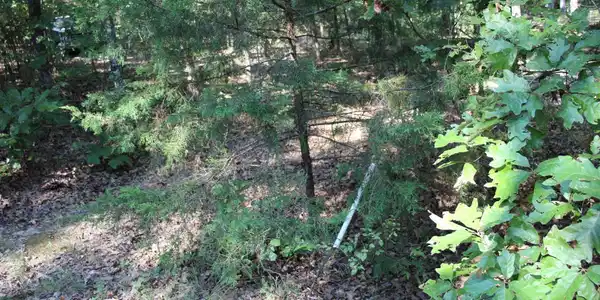 Lot 38 JEB ROAD