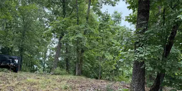 OFF OF MORGAN CAVE ROAD