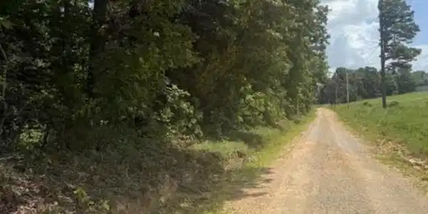 Tract 20 DEER CHASE ROAD