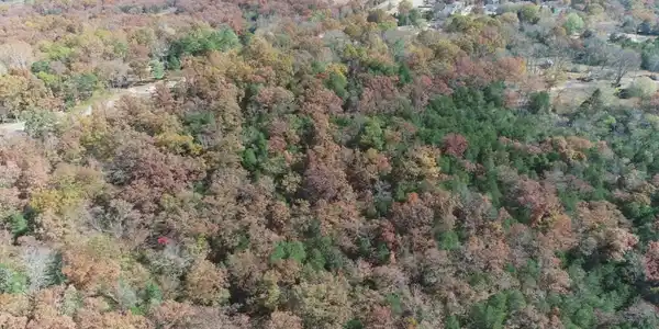 095021002002022 HWY 76