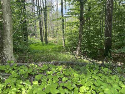 Lot 60 Slopeside