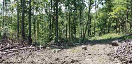 4acre Halleck