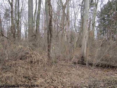 0 Lubbuck Lane