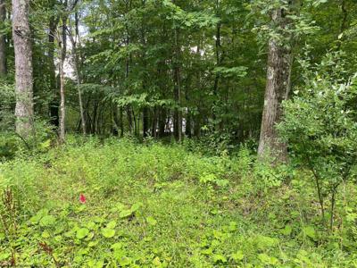 Lot 72 Oak