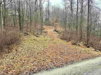 TBD Winding Hollow
