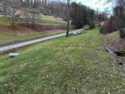 TBD Goose Run