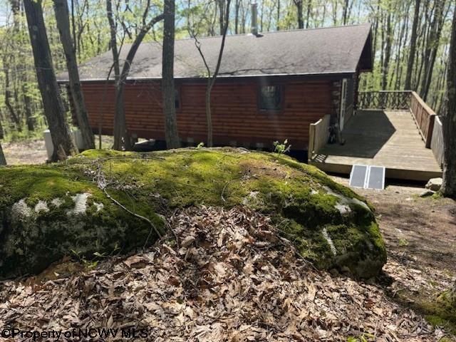 Image 4