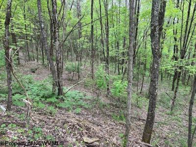 TBD Moyer Hollow