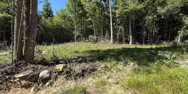 Lot 2 Brooklyn
