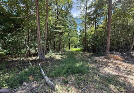 Lot 5 Brooklyn
