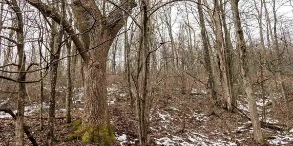 Lot 1 Huey Run