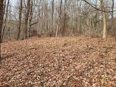 Lot 4 High Mountain