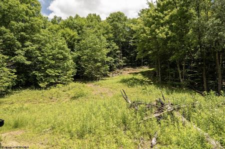 Lot 14 Lake Island