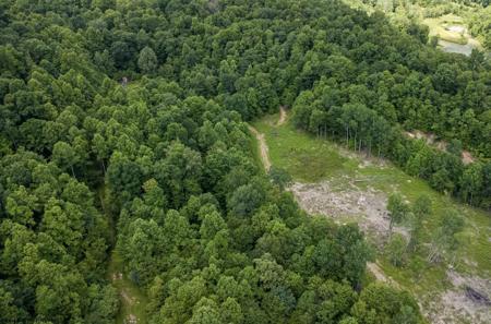 Lot 15 Lake Island