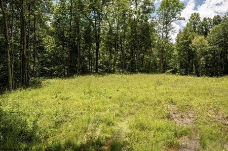 Lot 20 Lake Island