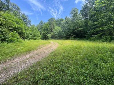 0 Laurel Run
