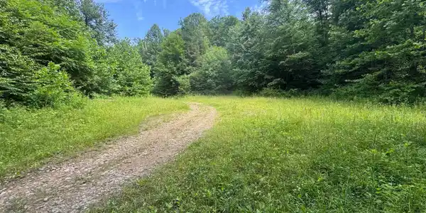 0 Laurel Run